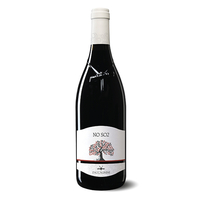 Montepulciano Dabruzzo Doc “no So2” 2019