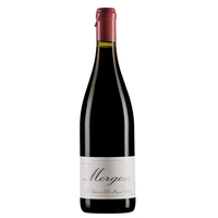 Morgon 2019 Magnum