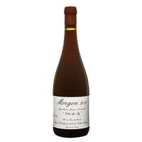 Morgon Rouge Côte Du Py 2020 Magnum