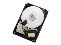 HGST Ultrastar 7K4000 HUS724030ALE640 - hard drive - 3 TB - SATA-600