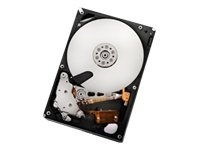 HGST Ultrastar A7K2000 HUA722010CLA330 - hard drive - 1 TB - SATA-300