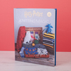 Harry Potter Knitting Magic